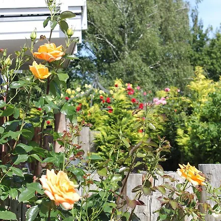 Aparthotel Haus Amo Solem Dierhagen