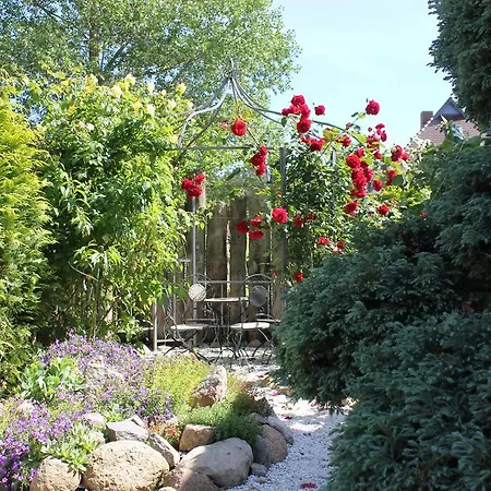 Apartahotel Haus Amo Solem Dierhagen